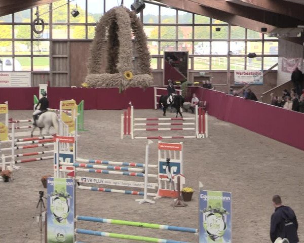 Reitturnier Krumke 2022