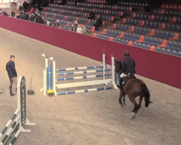 Reitturnier Krumke 2022