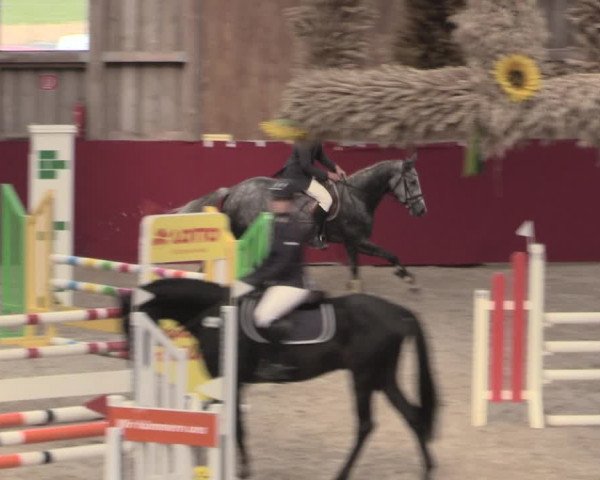 Reitturnier Krumke 2022
