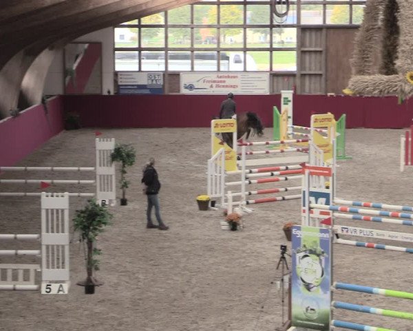 Reitturnier Krumke 2022