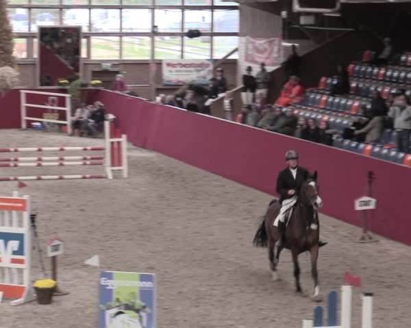 Reitturnier Krumke 2022