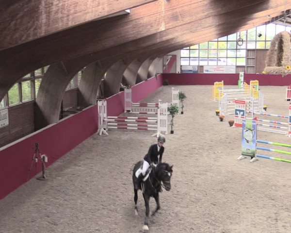 Reitturnier Krumke 2022