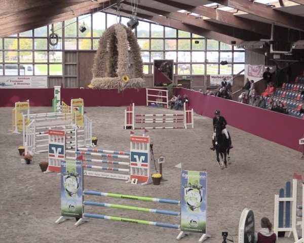 Reitturnier Krumke 2022