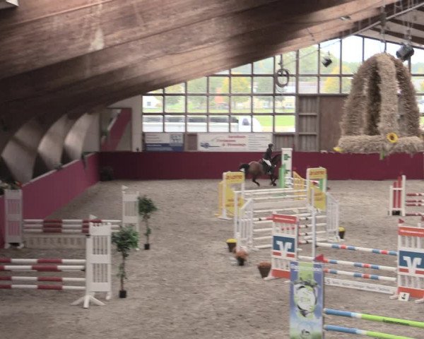 Reitturnier Krumke 2022
