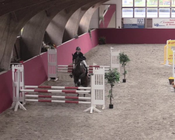 Reitturnier Krumke 2022