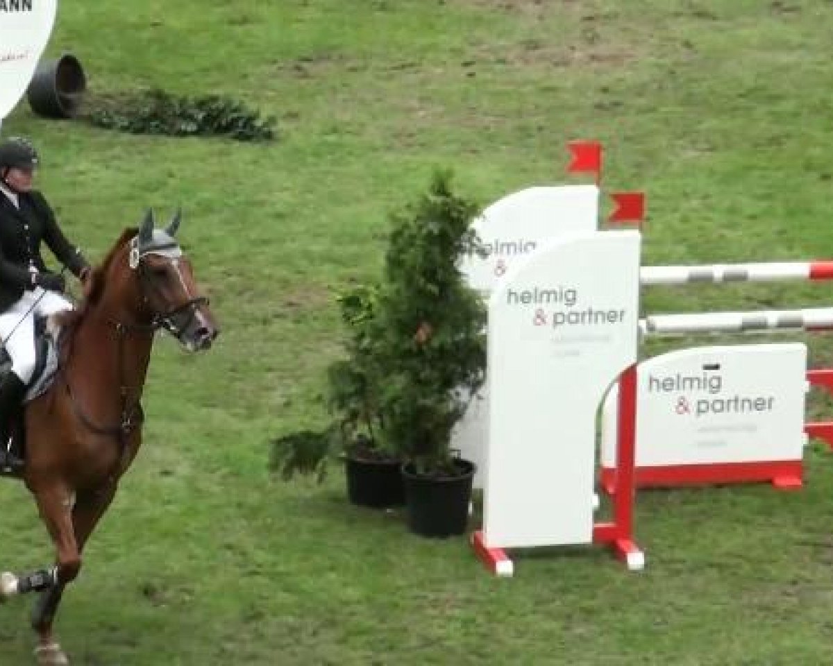 Caballo de salto Pantomac (Westfaliano, 1997, de Pik Labionics)