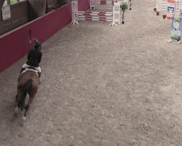 Reitturnier Krumke 2022