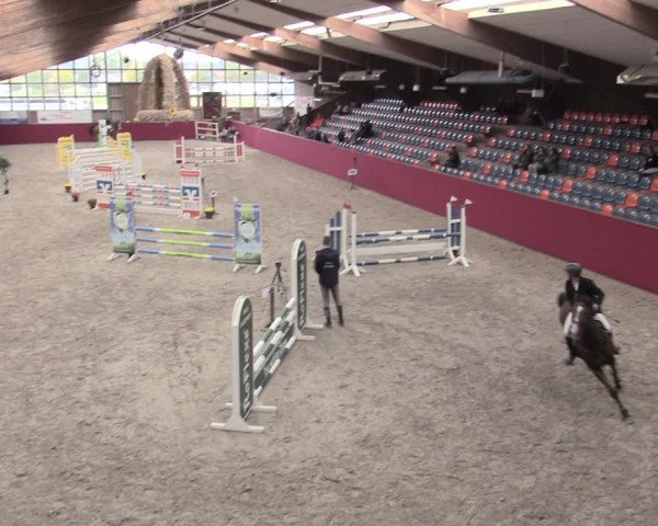 Reitturnier Krumke 2022