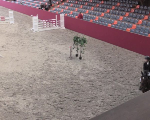 Reitturnier Krumke 2022