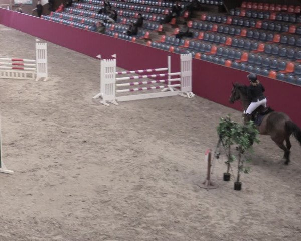 Reitturnier Krumke 2022