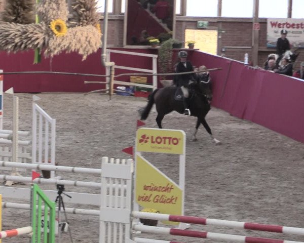 Reitturnier Krumke 2022
