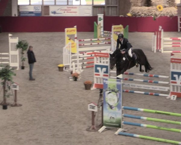Reitturnier Krumke 2022