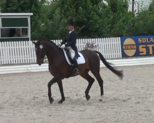 dressage horse Wotticelli 4 (Hanoverian, 1999, from Warkant)