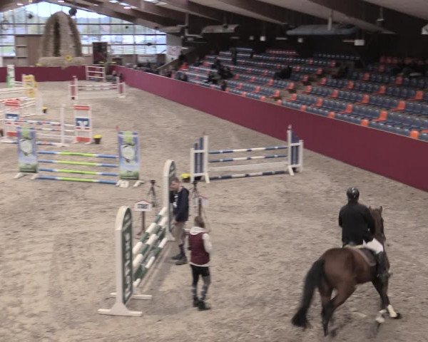 Reitturnier Krumke 2022