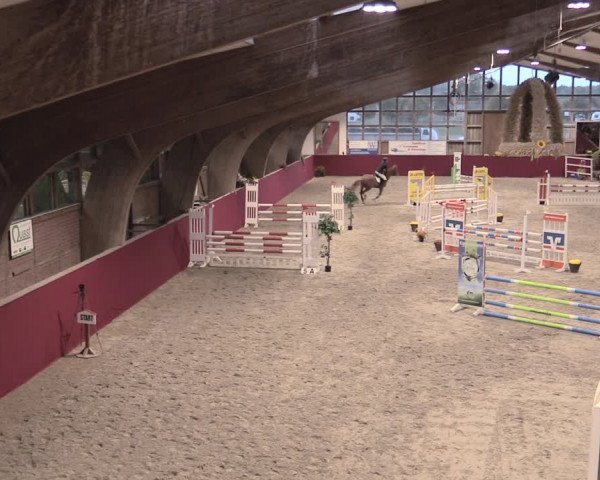 Reitturnier Krumke 2022