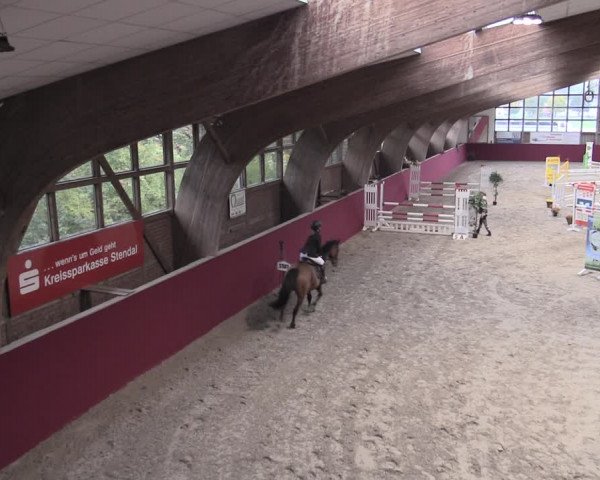 Reitturnier Krumke 2022
