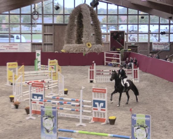 Reitturnier Krumke 2022