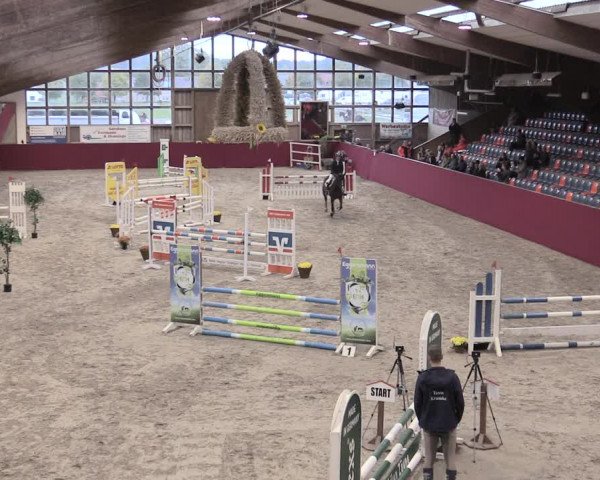 Reitturnier Krumke 2022