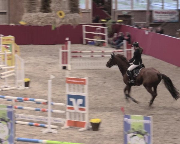 Reitturnier Krumke 2022