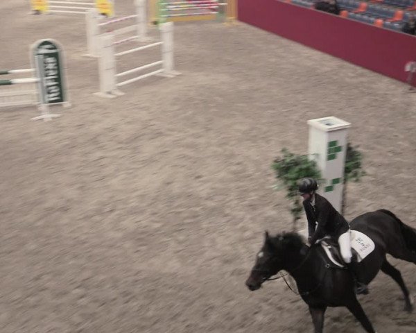 Reitturnier Krumke 2022