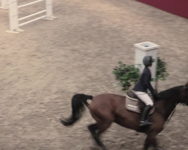 Reitturnier Krumke 2022