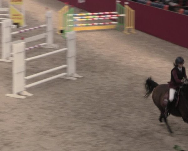 Reitturnier Krumke 2022