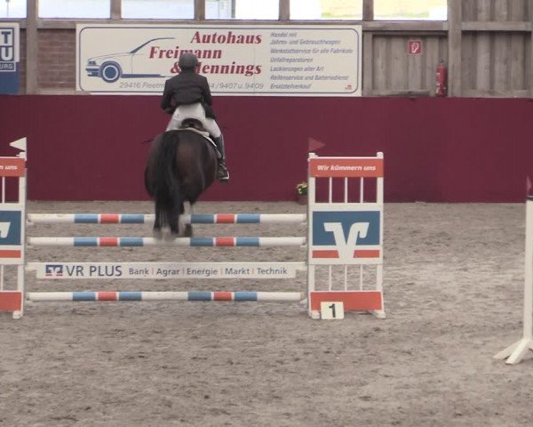 Reitturnier Krumke 2022