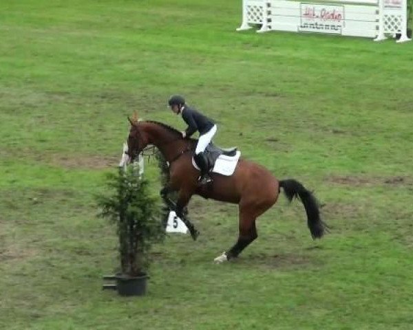 jumper Galaxie 24 (Brandenburg, 1995, from Glorreich)