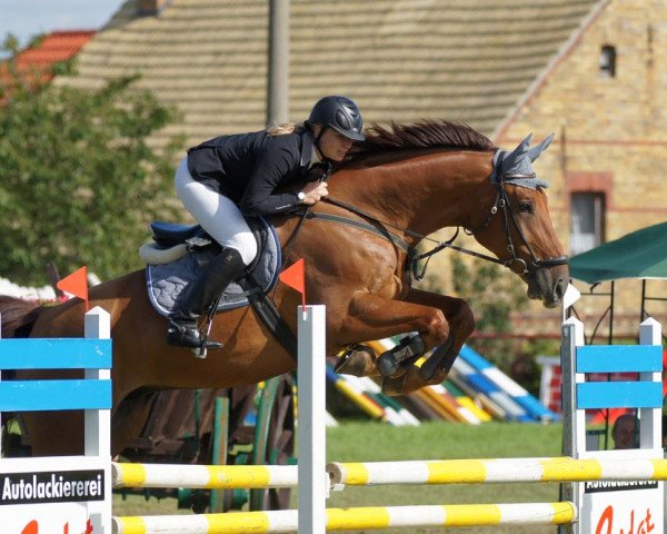 jumper Limited Edition (German Sport Horse, 2004, from Living)