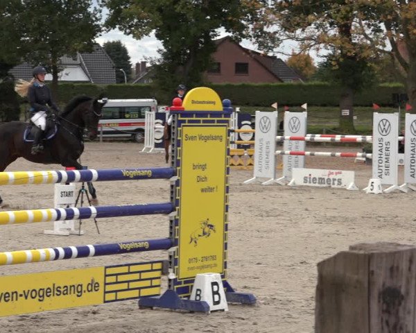 4. Handorfer Springturnier 2022