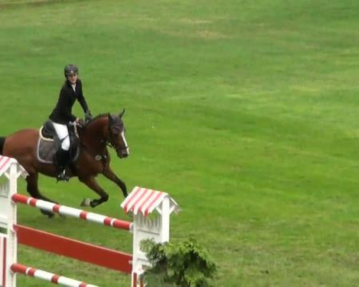 jumper Lemon Three (German Riding Pony, 2006, from Lukas)