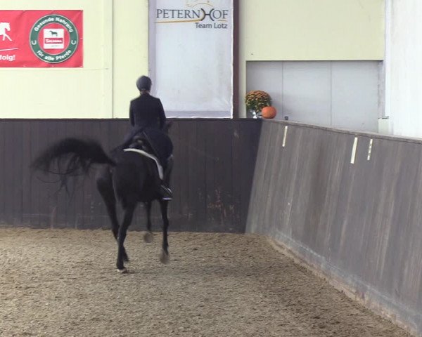 Reitturnier St. Peter-Ording 2022