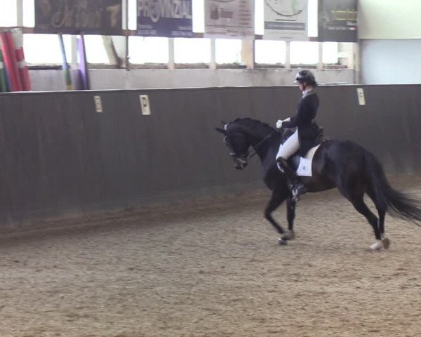 Reitturnier St. Peter-Ording 2022