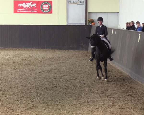 Reitturnier St. Peter-Ording 2022
