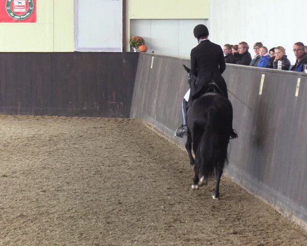 Reitturnier St. Peter-Ording 2022