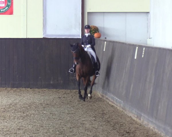 Reitturnier St. Peter-Ording 2022