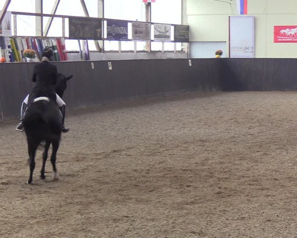 Reitturnier St. Peter-Ording 2022