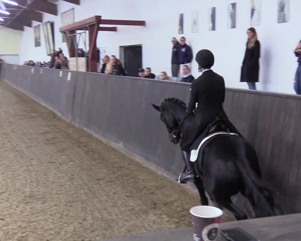 Reitturnier St. Peter-Ording 2022