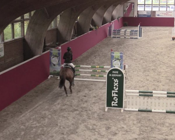 Reitturnier Krumke 2022