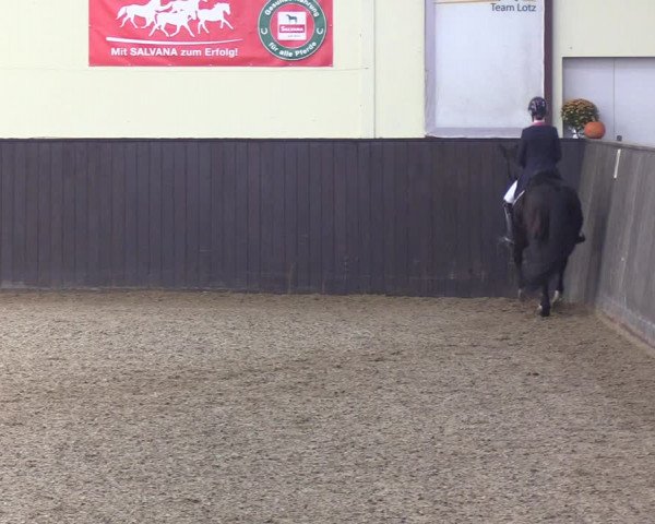 Reitturnier St. Peter-Ording 2022
