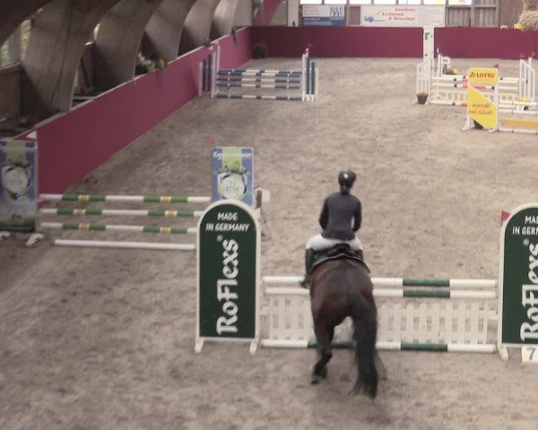 Reitturnier Krumke 2022