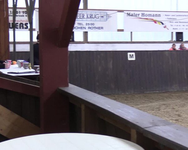 Reitturnier St. Peter-Ording 2022