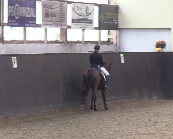 Reitturnier St. Peter-Ording 2022