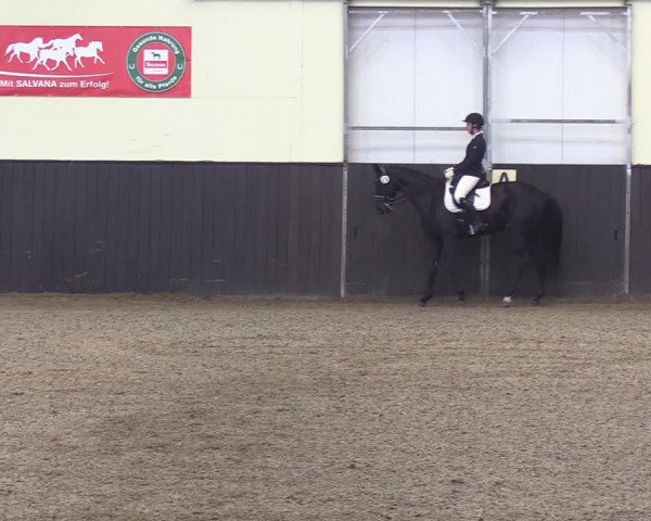 Reitturnier St. Peter-Ording 2022