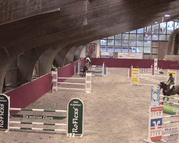 Reitturnier Krumke 2022