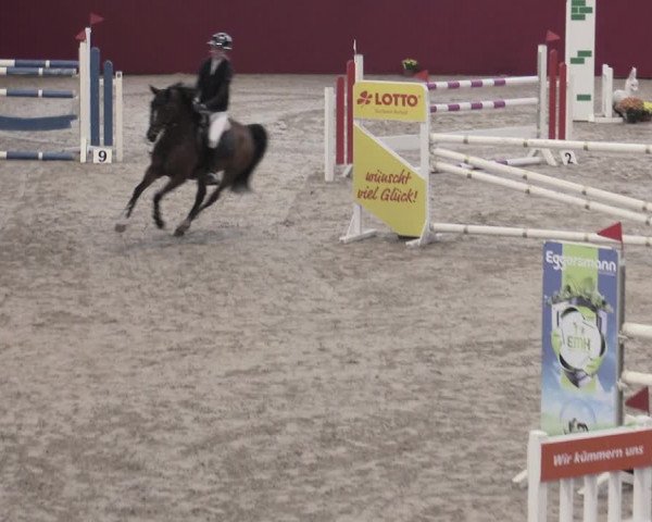Reitturnier Krumke 2022