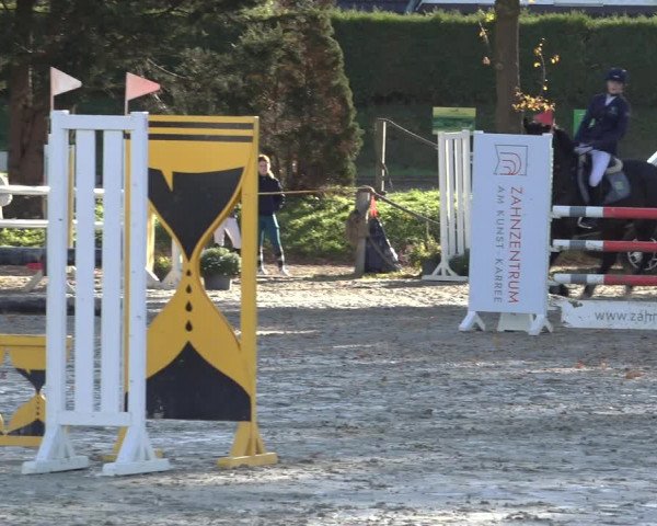 4. Handorfer Springturnier 2022