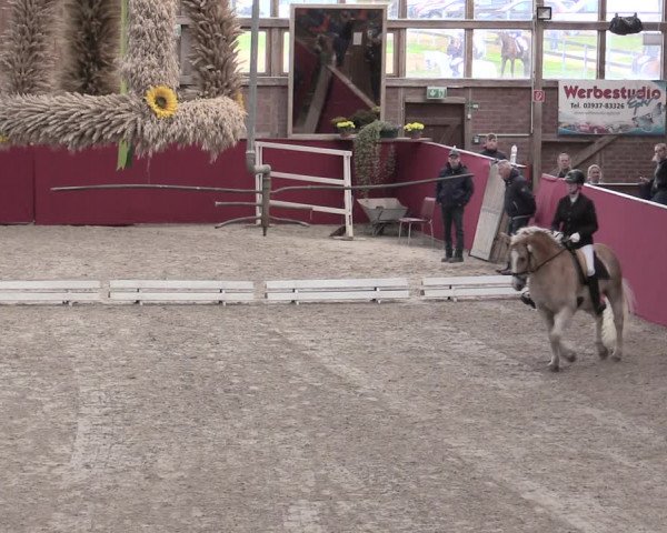 Reitturnier Krumke 2022