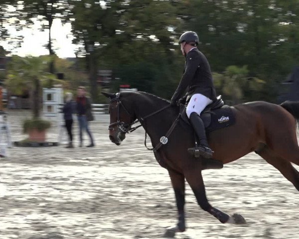 4. Handorfer Springturnier 2022