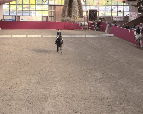 Reitturnier Krumke 2022